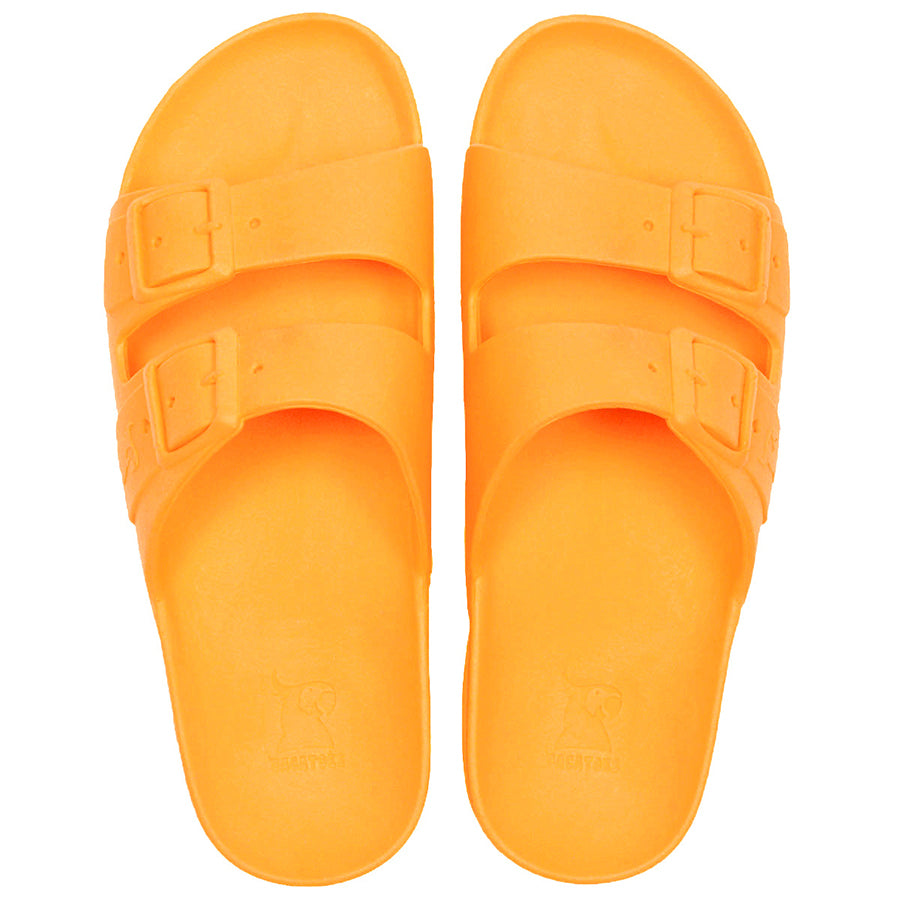 RIO DE JANEIRO - TOURNESOL